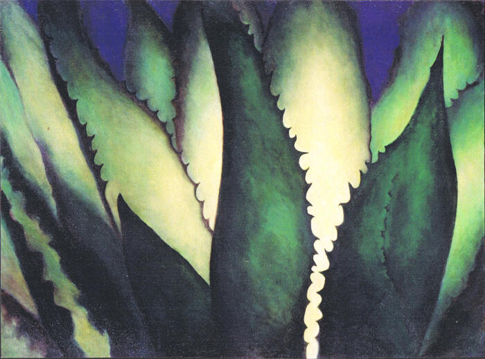 Agave Light Agave Light